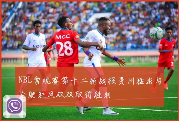 NBL常规赛第十二轮战报贵州猛龙与合肥狂风双双取得胜利