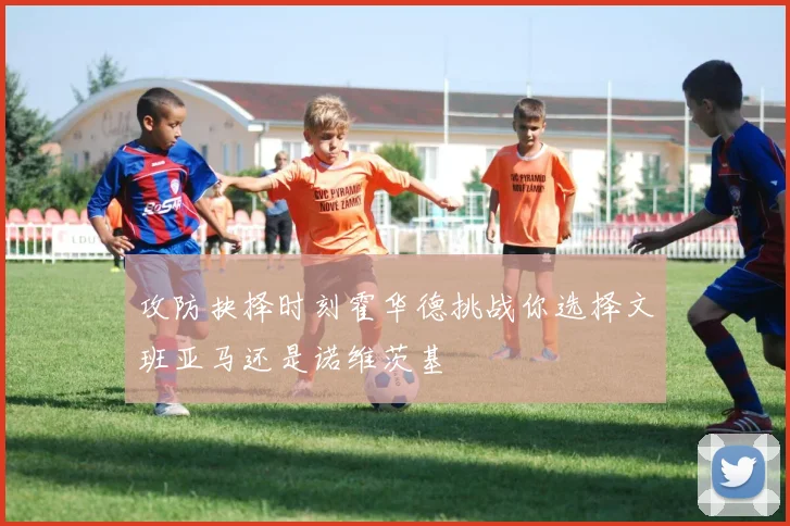 攻防抉择时刻霍华德挑战你选择文班亚马还是诺维茨基